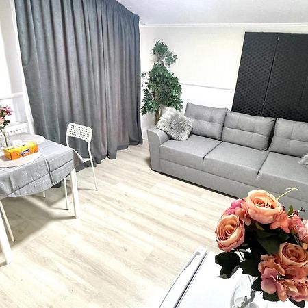 Baneasa Luxury Apartaments 布加勒斯特 外观 照片